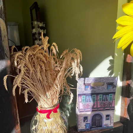 Les Du Marlenberg 3* מרלנהיים